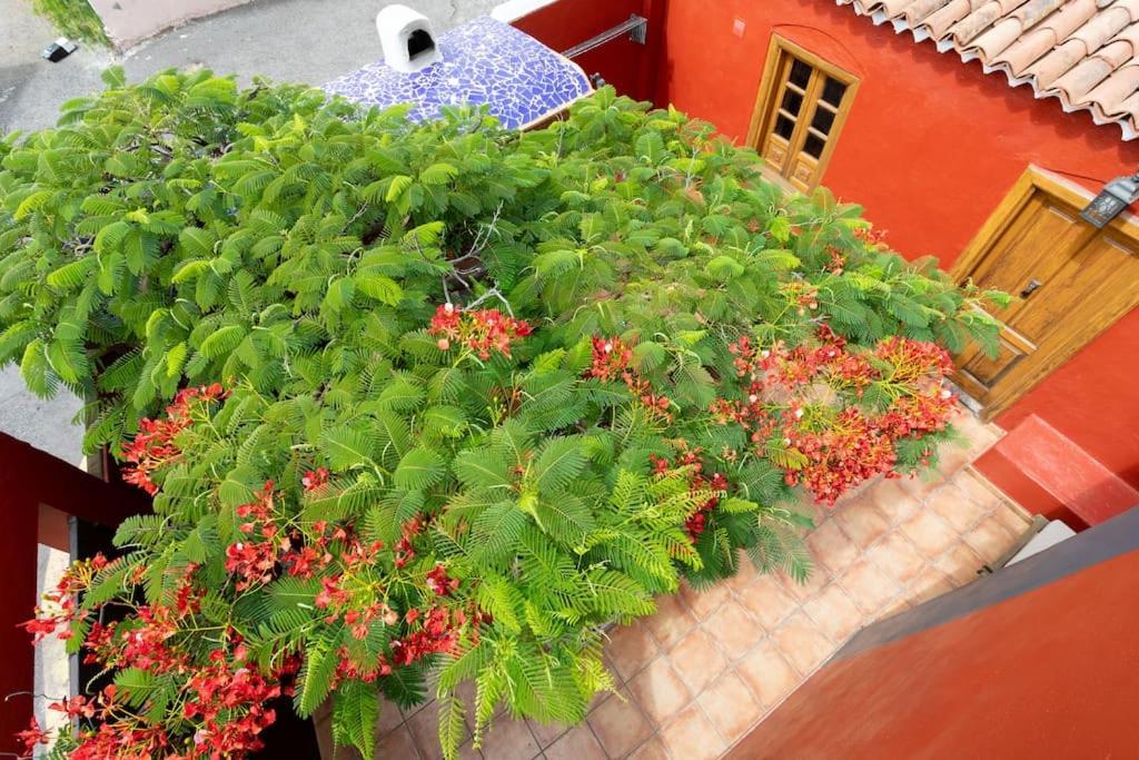 Rural House With Traditional Architecture S. XIX Santa Cruz de Tenerife Zewnętrze zdjęcie